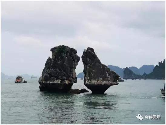 “感恩有你，一路同行”瀘州金偉2019快樂之旅